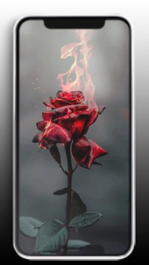 Sad Wallpaper HD: Alone Broken Screenshot 1