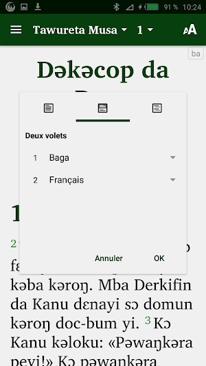 Baga Sitemu Screenshot 2