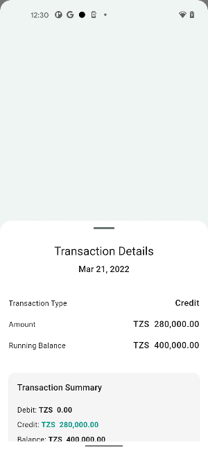 Foresight Financials Screenshot 2