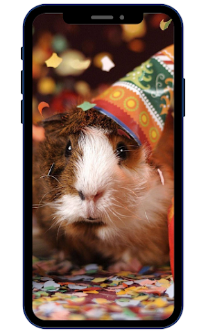 Guinea pig Wallpapers Screenshot 2