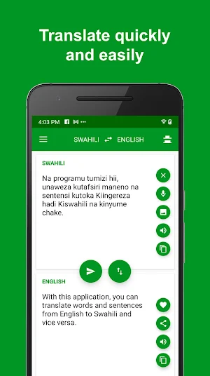 Swahili - English Translator : free & offline Screenshot 0