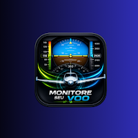 Monitore seu Voo PFD