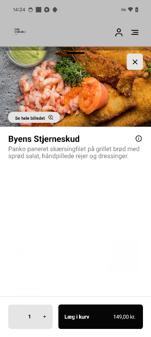 Byens Stjerneskud Screenshot 3