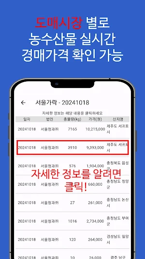 농수산물 실시간 경매 가격 정보 - 도매시장 Screenshot 1