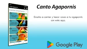 Canto Agapornis Screenshot 1