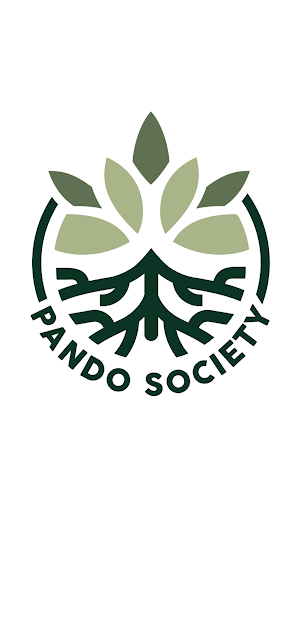 Pando Society Screenshot 0
