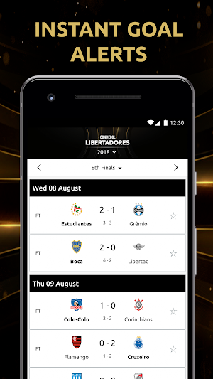 CONMEBOL Libertadores Screenshot 0