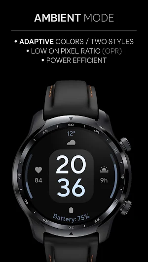 Concentric 1: Wear OS face Screenshot 2