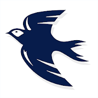 CityBluebirds