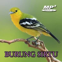 Pikat Suara Sirtu Offline