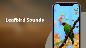 Leafbird Sounds Screenshot 0