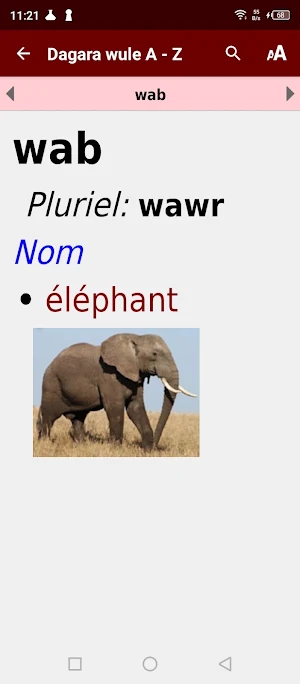 Dagara w dictionary français Screenshot 0