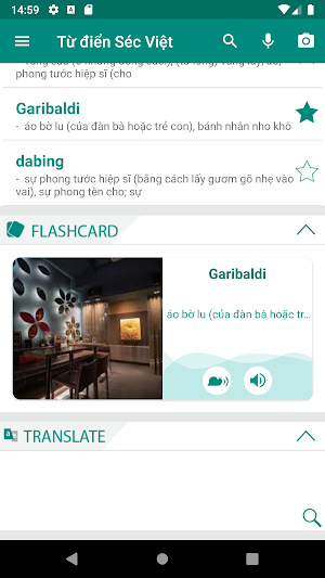 Czech Vietnamese Dictionary Screenshot 0