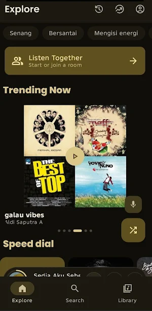 SnapMusic Audio MP3 Downloader Screenshot 1