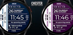 Chester Info Edge watch faces Screenshot 3