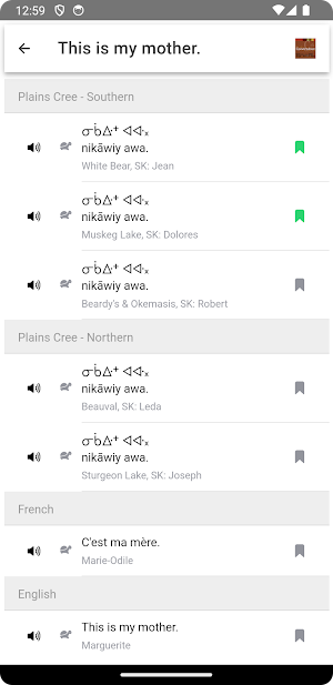 Plains Cree Conversation Screenshot 3
