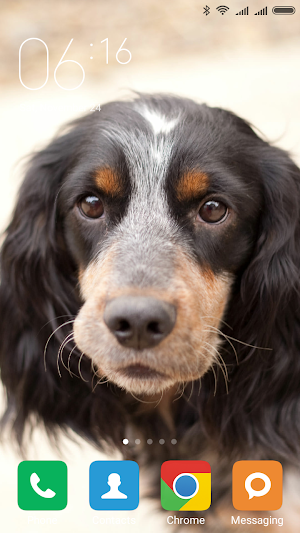 Cocker Spaniel Wallpapers Screenshot 2