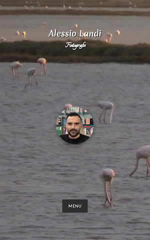 Alessio Landi Screenshot 3