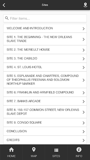 New Orleans Slave Trade Screenshot 3