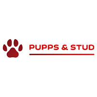Pupps & Stud