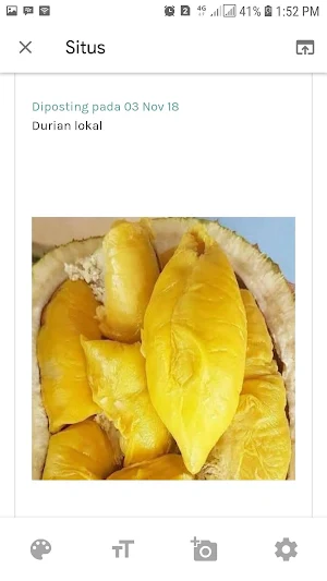 raggil durian Screenshot 1