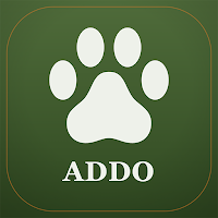 Addo Elephant Safari & Map