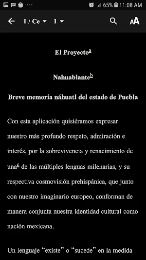 Nahuablante Screenshot 2
