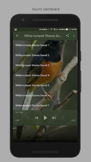 White-rumped Shama Sounds Screenshot 1