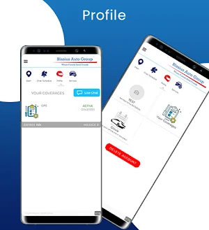 Blasius Auto Care Screenshot 2