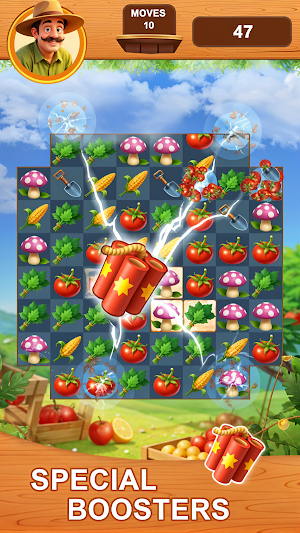 Village Farm Match 3 Screenshot 3
