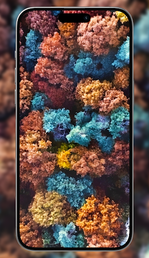 Dronescapes wallpapers Screenshot 3