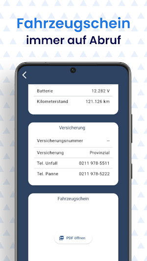 Powerfox Fuhrpark Screenshot 3