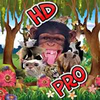 Animal Sounds