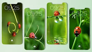 Cute Ladybug Wallpaper Screenshot 2