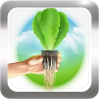 How To Grow Hydroponics Grow