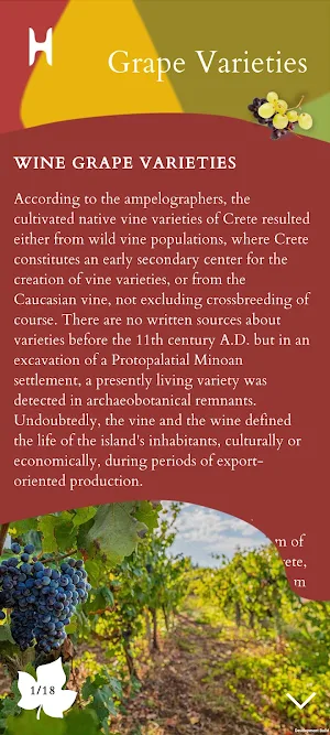 Heraklion Wines AR Screenshot 2