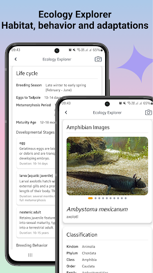 Frog identifier Screenshot 3