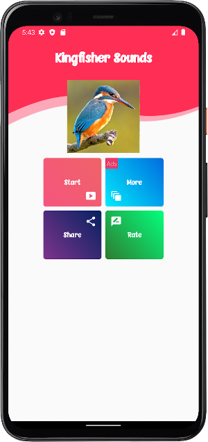 Kingfisher Sounds Screenshot 0