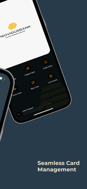 Providus Card App Screenshot 1