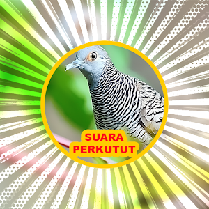 Suara Burung: Kicau Perkutut Screenshot 3