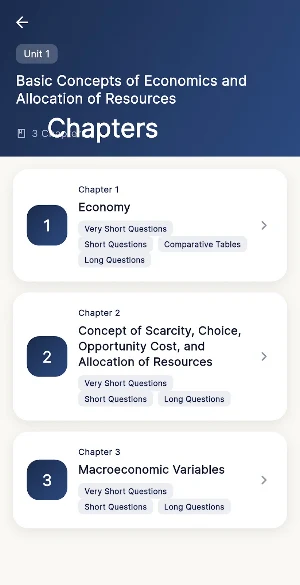 Class 10 Economics Guide Screenshot 3