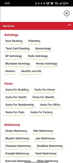 Vedic Astrologer Kapoor Screenshot 2