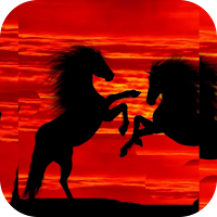 Horse Wallpapers