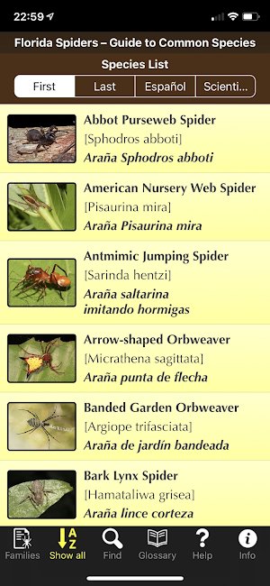Florida Spiders Screenshot 3