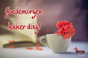 Goedemorgen Goedenacht Schat Screenshot 1
