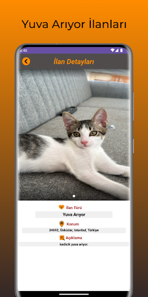 KayıPet - Kayıp & Yuva İlanı Screenshot 2