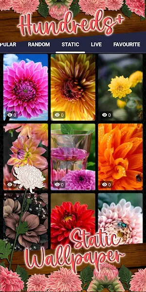 dahlia wallpaper Screenshot 3