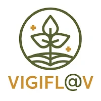 Vigifl@v