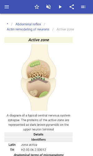 Neurophysiology Screenshot 3