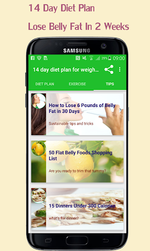 14 Day Diet Plan- lose belly fat in 2 weeks Screenshot 0